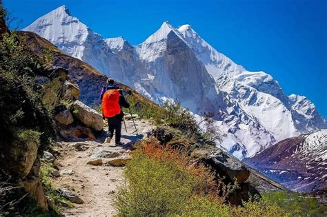 Discover Trek to Uttarakhand From Kedarkantha to Pindari Glacier