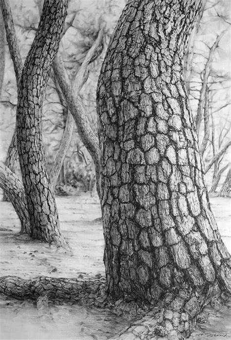 Pin by 김형경 on pencil sketch | Landscape drawings, Tree drawings pencil ...