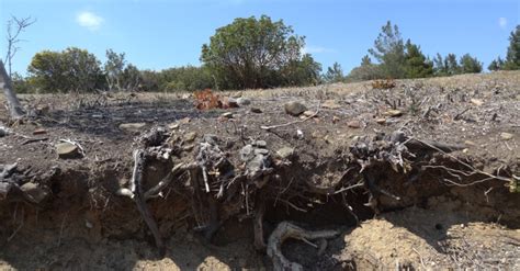 Anzac trenches from Gallipoli Campaign unearthed after 104 years ...