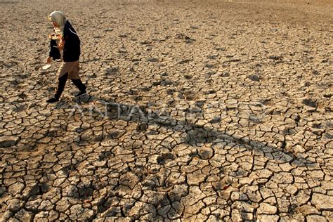 DAMPAK MUSIM KEMARAU DI SULSEL | ANTARA Foto