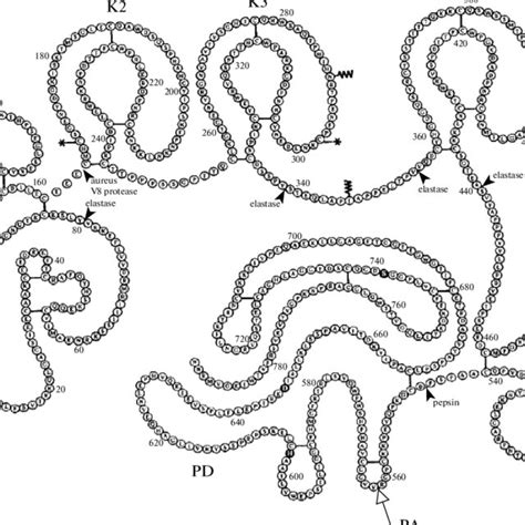 (PDF) [Structure and functions of plasminogen/plasmin system]