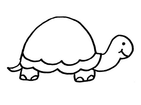 Free Turtle Outline Cliparts, Download Free Turtle Outline Cliparts png ...