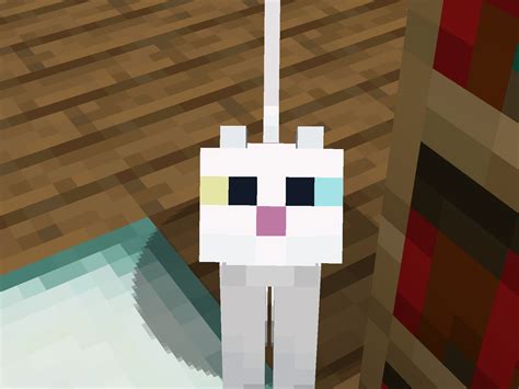 Just Noticed that white cats have different colored eyes : r/Minecraft