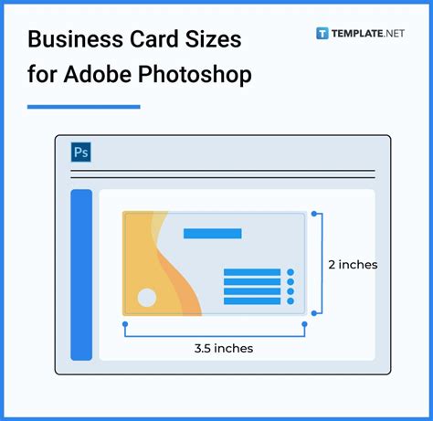 Business Card Size Photoshop Template