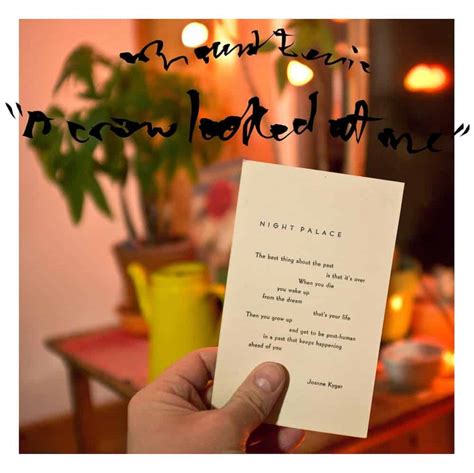 Mount Eerie: A Crow Looked At Me Vinyl. Norman Records UK