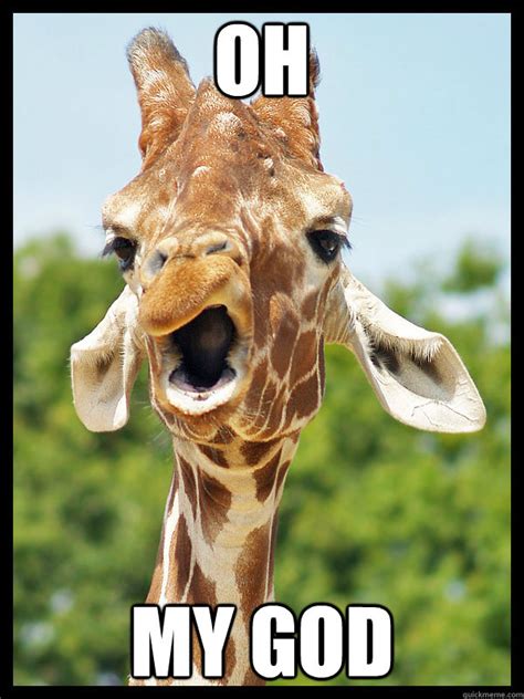 Oh my god - Giraffe - quickmeme