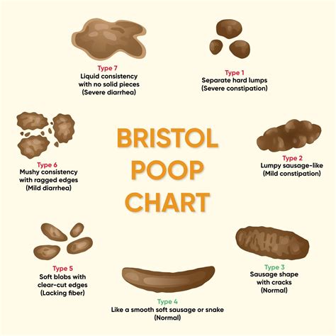 Identifying Types Of Poop With The Bristol Stool Chart And, 45% OFF