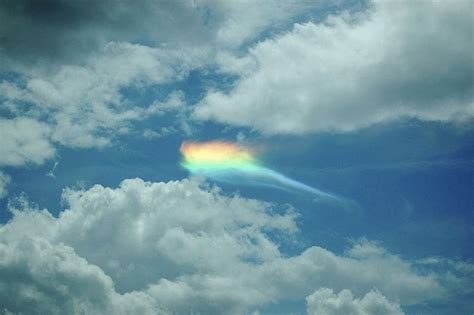 Fire Rainbows: A Rare Cloud Phenomenon | Clouds, Fire rainbow, Rainbow ...