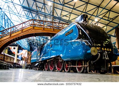 232 Mallard Train Images, Stock Photos, and Vectors | Shutterstock