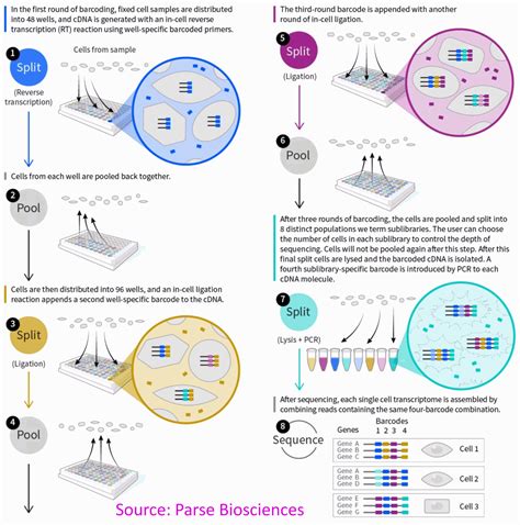 Single Cell Expression Profiling & Genomics (10X Genomics, SPLiT-Seq ...