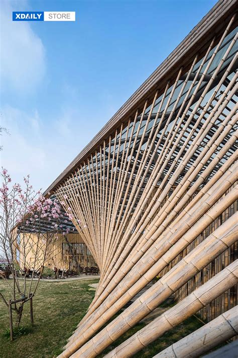 Bamboo - Architecture . Ứng dụng vật liệu tre trong kiến trúc - XDAILY