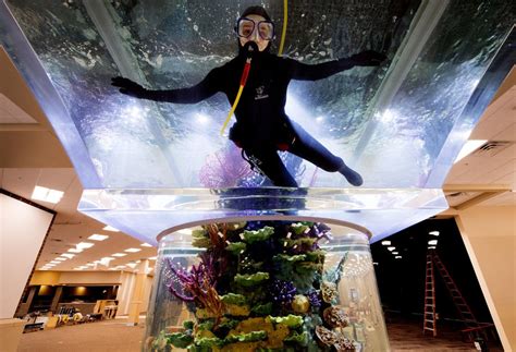 Scheels shows off progress — and fills fish tank — at new Lincoln store ...