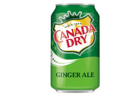 10 Best Ginger Ale Brands, Ranked - Parade