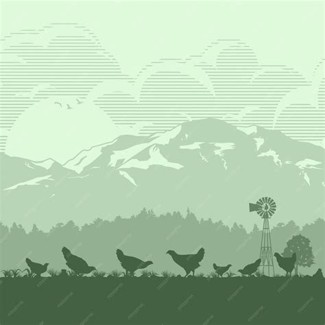 Premium Vector | Silhouette of a flock of chicken in meadow at sunrise,