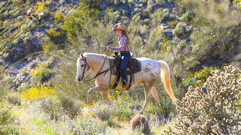 Trail Rides | Horseback Riding | Phoenix, Arizona - Blog