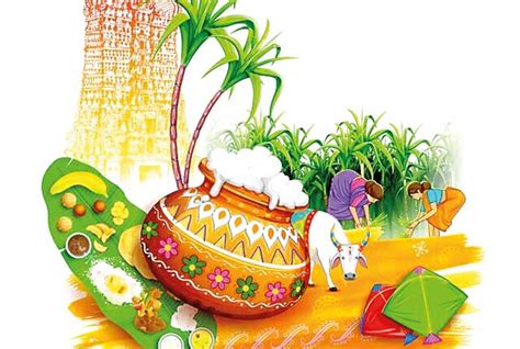 Thai Pongal – A Thanksgiving Ceremony: Love and Peace are the Central ...