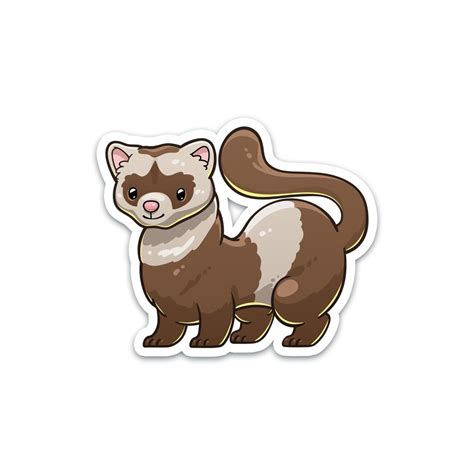 Ferret Sticker Cute Fun Pet Animal Decal for Boys Girls - Etsy