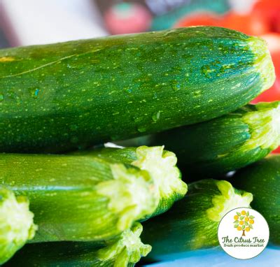 Zucchini | The Citrus Tree Fresh Produce Market