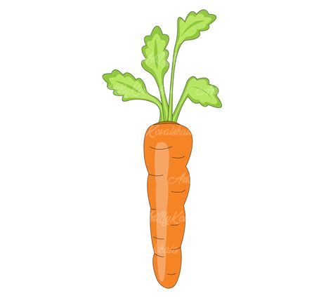 Carrot Clipart, Carrot SVG, Digital Download - Etsy