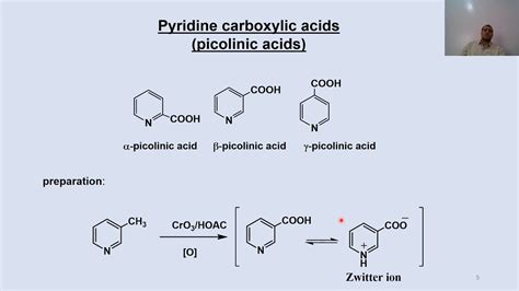 Pyridine derivatives -2ed yrar general pharmacy - YouTube