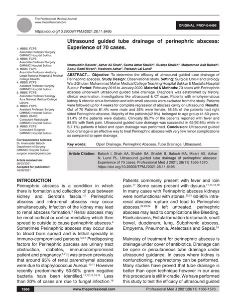 (PDF) Ultrasound guided tube drainage of perinephric abscess ...