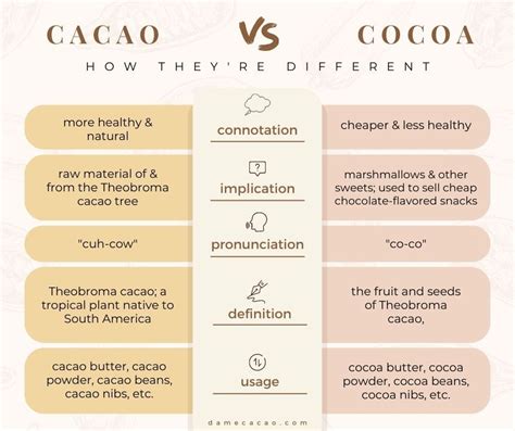 Cacao vs Cocoa: How They’re Different (Expert Reveals)