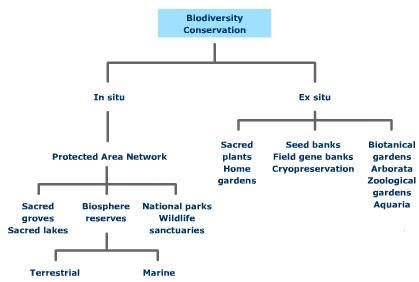 Biodiversity: Biodiversity conservation strategies: