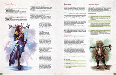 Feywild Companion - Dungeon Masters Guild | DriveThruRPG.com