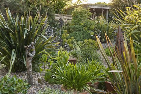 Gravel Gardens: Everything You Need to Know About Dry Gardens