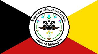 File:Flag of the Saginaw Chippewa Indian Tribe of Michigan.PNG ...