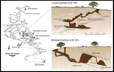 Historic new Homo naledi discoveries unveiled at Maropeng – Maropeng ...