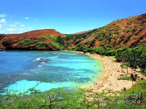 Hanauma Bay Nature Preserve Photograph by Kristine Merc