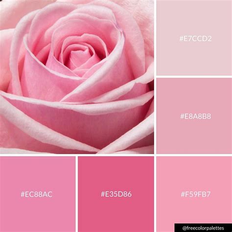 Pin on Color Palettes