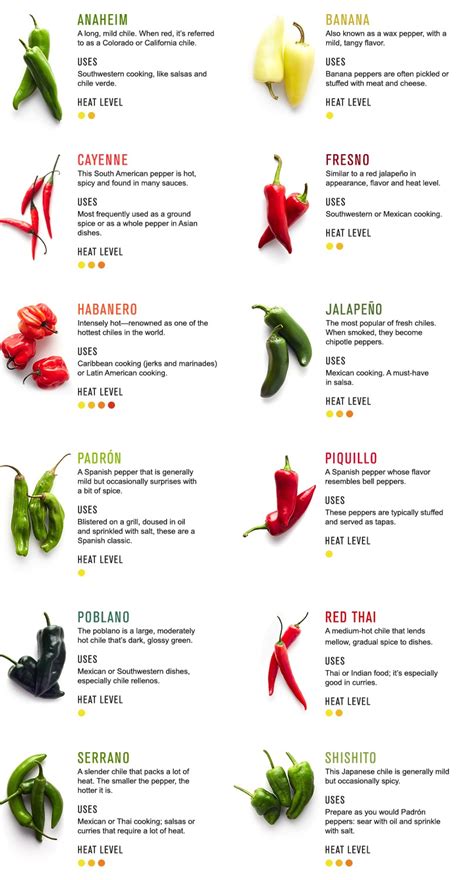 All About Chiles | Williams-Sonoma Taste | Stuffed peppers, Types of ...