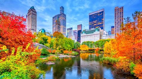 NYC LIVE CENTRAL PARK Fall Foliage & Midtown Manhattan (October 27 ...