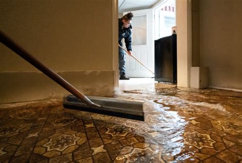 Signs of Water Damage in the Home - House Integrals