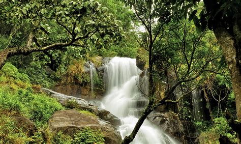 7 Waterfalls in Wayanad You Won't Want to Miss in 2024