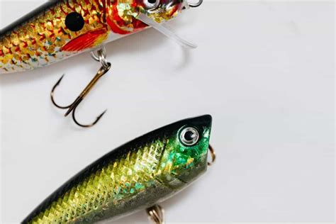 5 Best Topwater Lures for Florida Peacock Bass – Catch Florida Peacock Bass