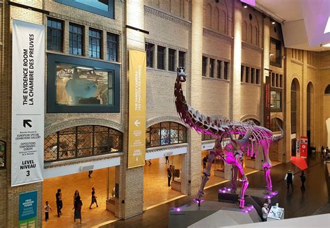 a large dinosaur skeleton in the middle of a building