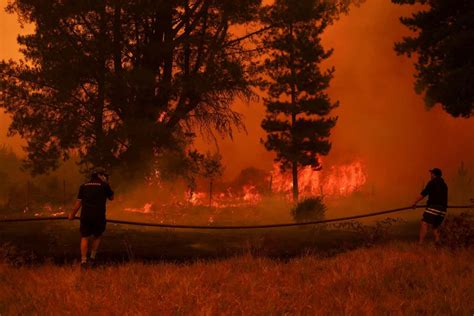 Incendios forestales chilenos 2023: Clima extremo entre los más ...