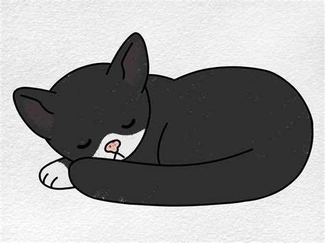 Sleeping Cat Drawing - HelloArtsy