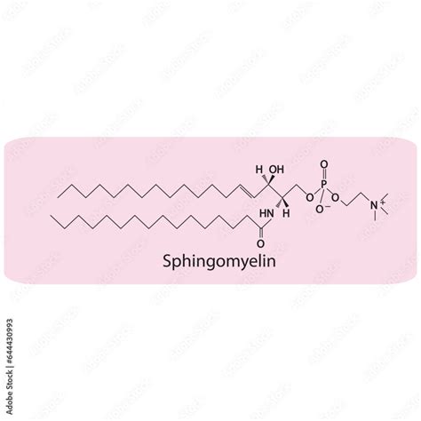 Structure of Sphingomyelin biomolecule, skeletal structure diagram on ...