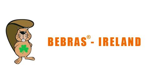 Bebras Computing Thinking Challenge - Coláiste an Spioraid Naoimh