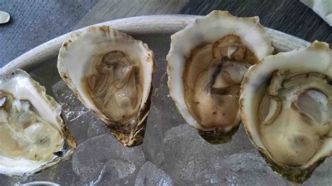 Matunuck Oyster - Oysterater