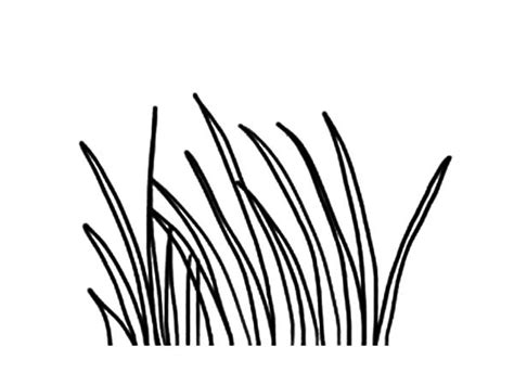 Grass Printable Coloring Pages