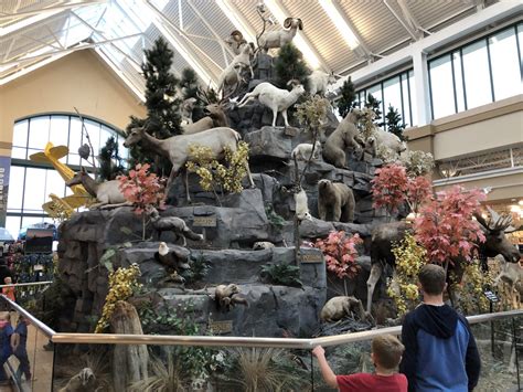 Scheels | Sandy, Utah - Utah's Adventure Family