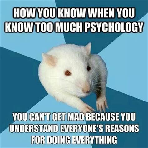 Funny Pictures Of The Day - 72 Pics | Psychology jokes, Psychology ...