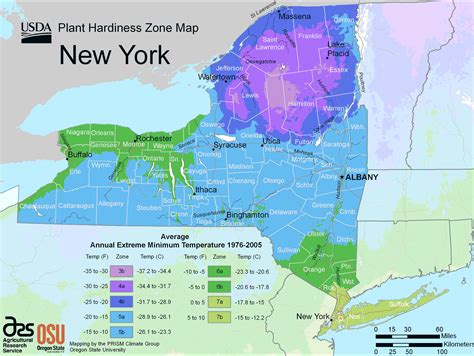 New York Hardiness Zone Map