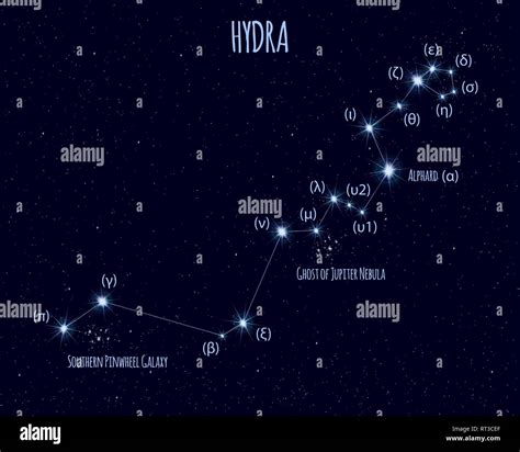 Hydra constellation, vector illustration with the names of basic stars ...