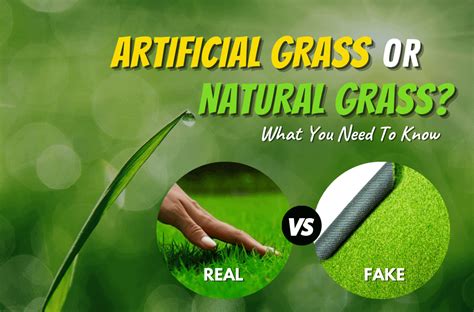 Natural Grass Vs Artificial Turf - ExperiGreen